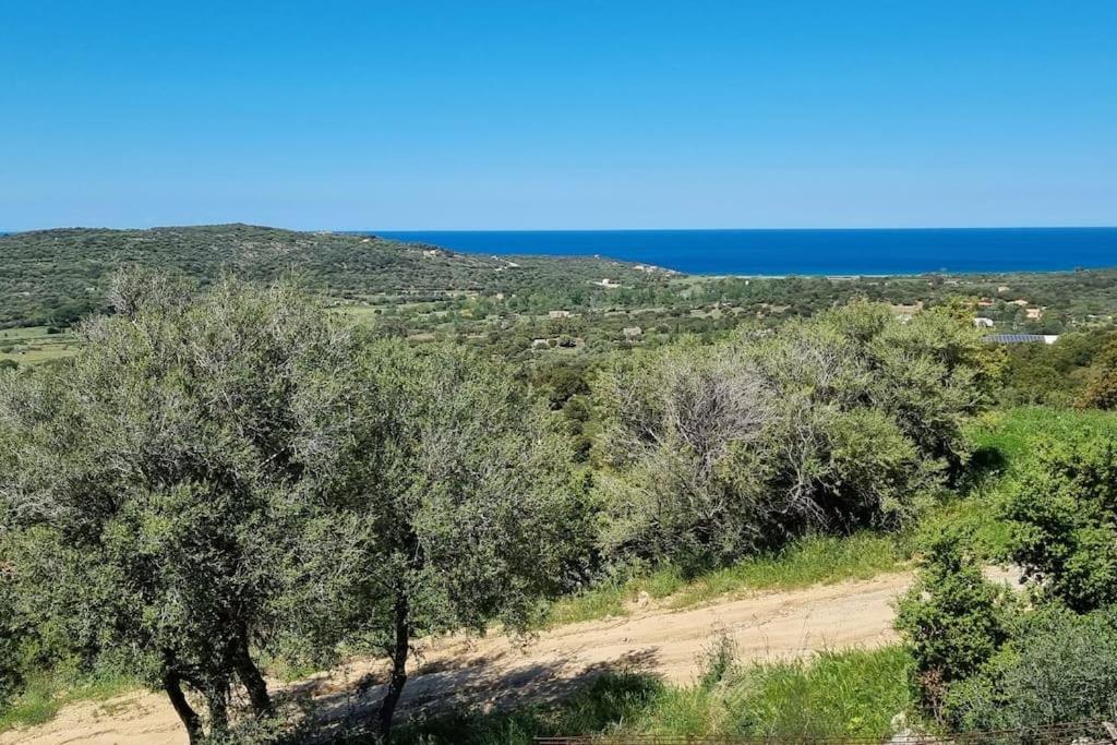 Charmant Petit Logement A 3 Kms De La Plage Belgodere  Exterior photo